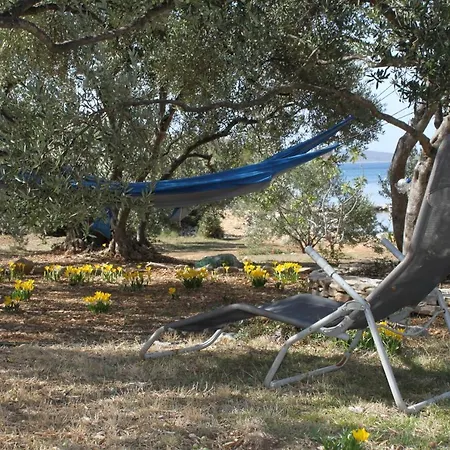 Seaside House For Families With Children Cove Kobiljak, Pasman - 320 Tatil Evi